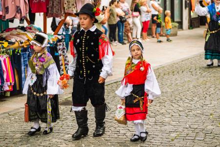 Povorka ob dnevih narodnih noš in oblačilne dedščine (84)